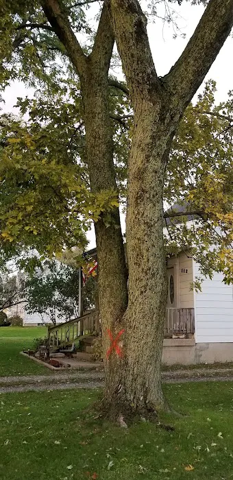 Zehr Property Maintenance Picture 4