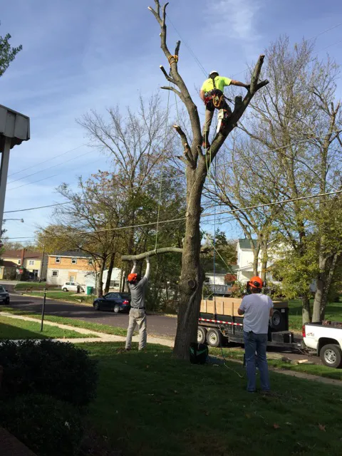 Zehr Property Maintenance Picture 5