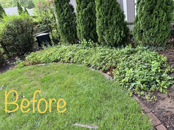 Joe Joe's Lawn Care Picture 6