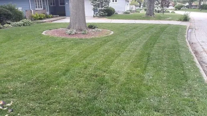 Ace and Fosters Lawn Care & Landscaping Picture 3
