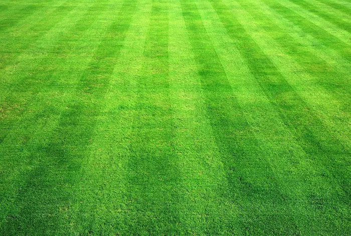 Yoder Lawn Care, llc Picture 4