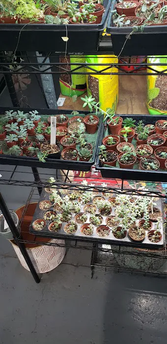 A B Hatchery & Garden Center Picture 5