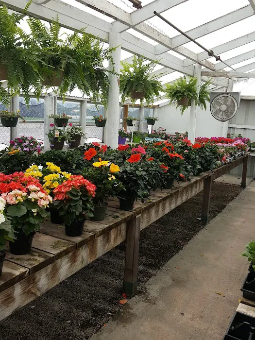 A B Hatchery & Garden Center Picture 2