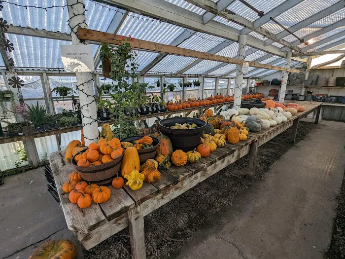 A B Hatchery & Garden Center Picture 6