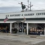 A B Hatchery & Garden Center