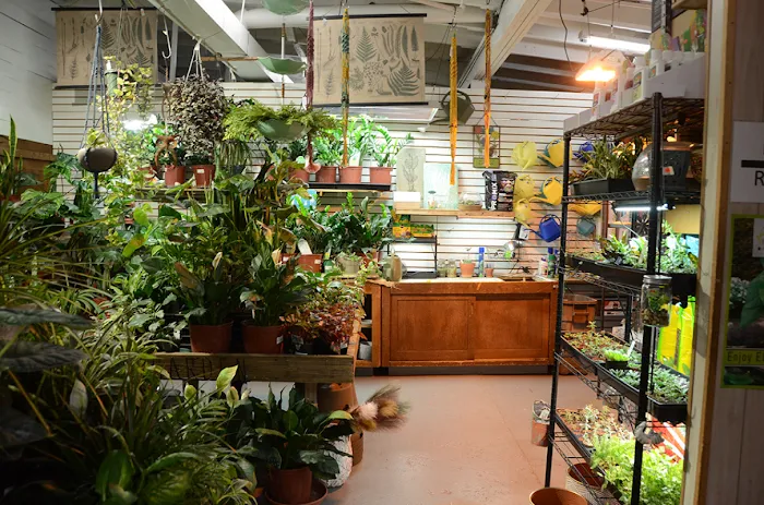 A B Hatchery & Garden Center Picture 9