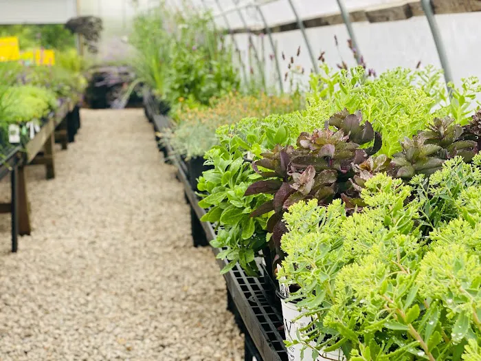 Penn Landscaping and Sunburst Nursery Picture 9