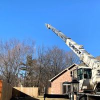 B&D lawn & tree care ico