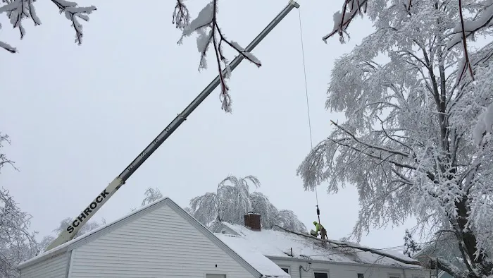B&D lawn & tree care Picture 4