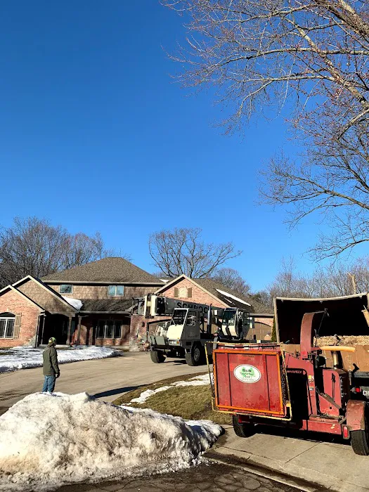 B&D lawn & tree care Picture 2