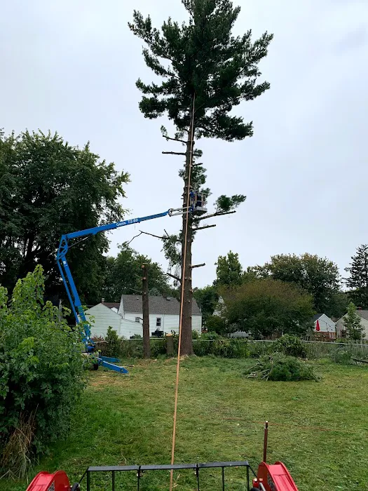 B&D lawn & tree care Picture 9