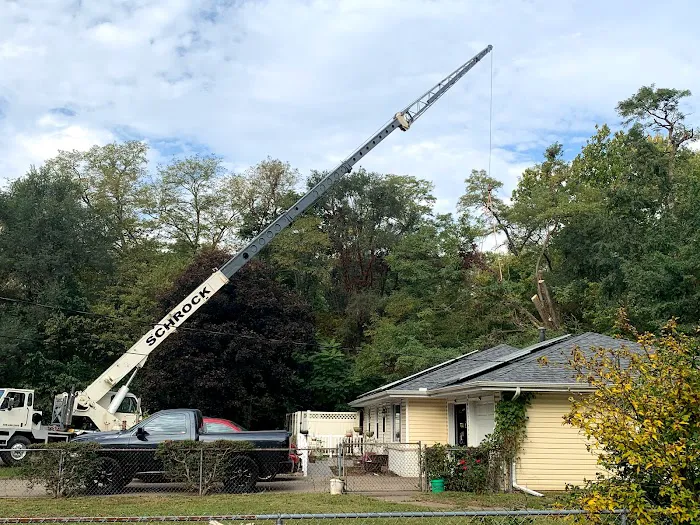 B&D lawn & tree care Picture 7