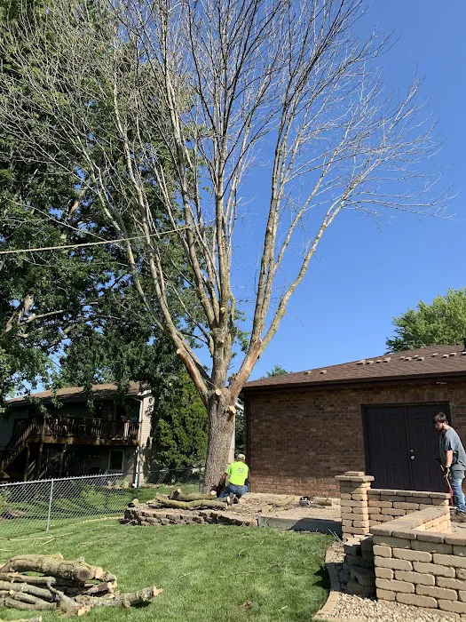 B&D lawn & tree care Picture 5