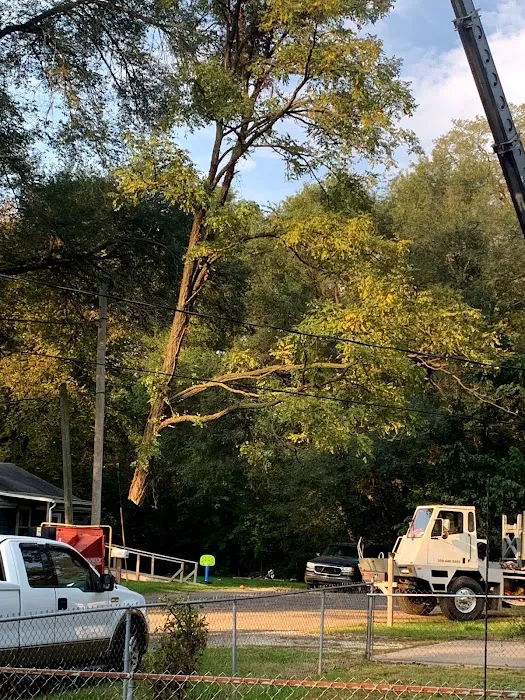 B&D lawn & tree care Picture 10