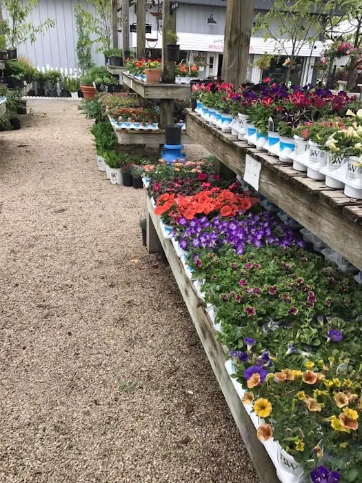 Dutch Landscaping Picture 7