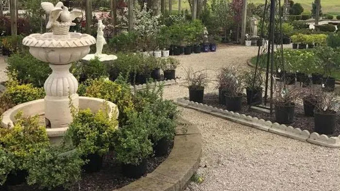 Dutch Landscaping Picture 4