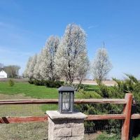 Speerly's Outdoor Services Inc ico