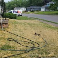 Staley Lawncare and Landscaping ico