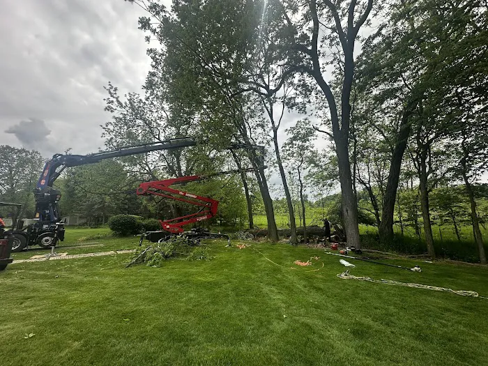 Above & Beyond Tree and Shrubbery Service Picture 2