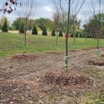 Douglas Landscape Inc.