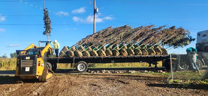 Douglas Landscape Inc. Picture 5