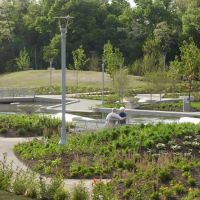 Fuerbringer Landscaping & Design ico