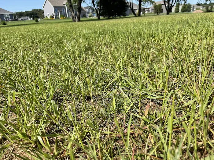 Fuerbringer Landscaping & Design Picture 2