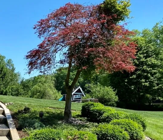 Fuerbringer Landscaping & Design Picture 6