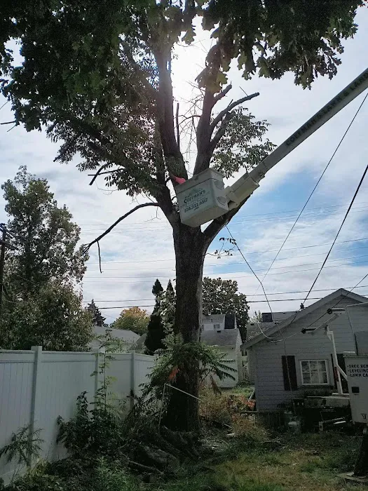 Coffman’s Lawn & Landscaping, LLC Picture 5