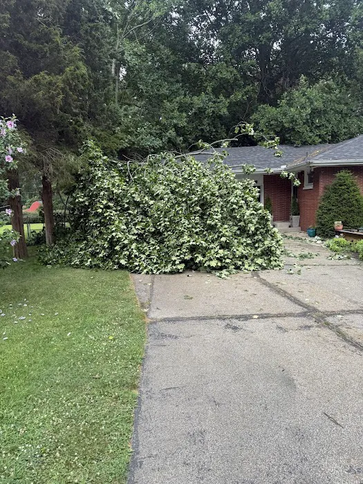 Coffman’s Lawn & Landscaping, LLC Picture 3