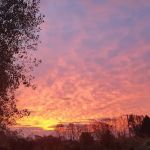 Arcadia Gardens, LLC