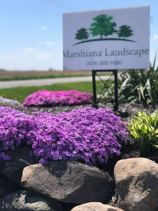 Marshiana Landscape LLC Picture 5
