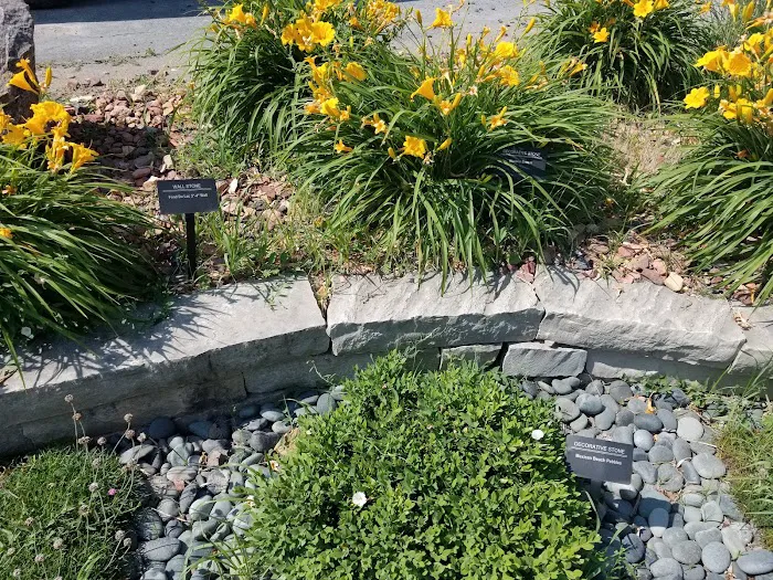 Marshiana Landscape LLC Picture 3