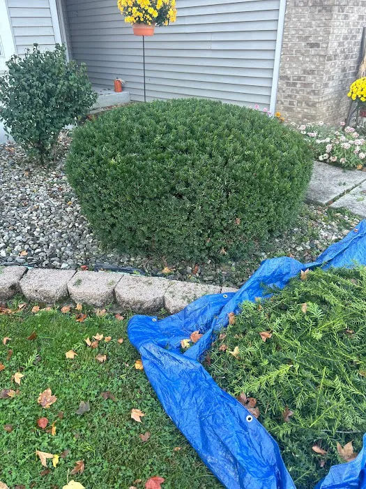 Johnson Outdoor Services Picture 10