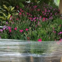 M & D Lawn Care LLC ico