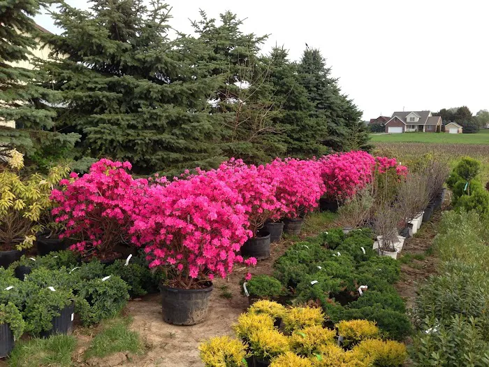 Springcreek Landscaping & Nursery, LLC. Picture 1