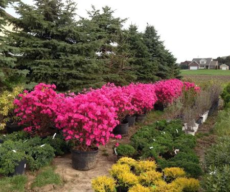 Springcreek Landscaping & Nursery, LLC.