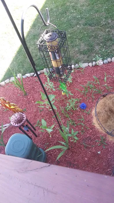 Springcreek Landscaping & Nursery, LLC. Picture 2