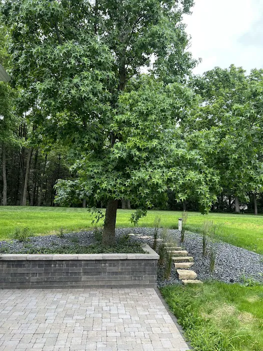 TrueCut Lawns Picture 4
