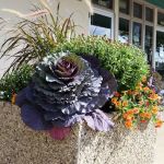 Green Key Landscape Design