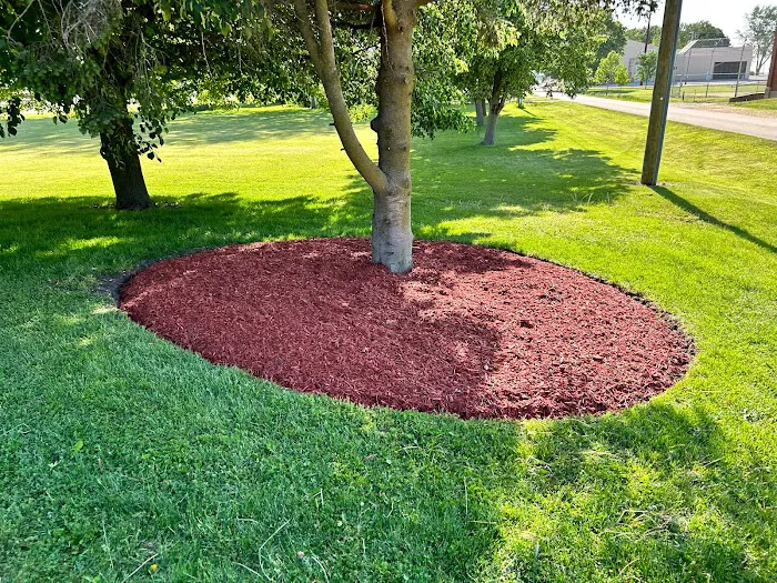 V&C Lawn Care Services Picture 8