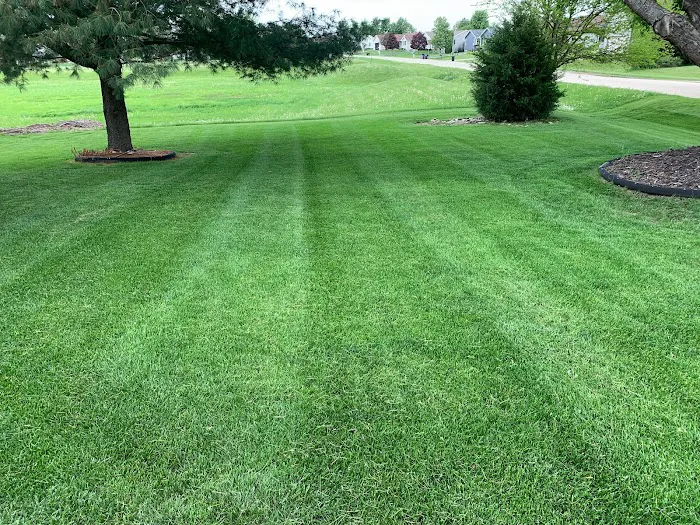 V&C Lawn Care Services Picture 9