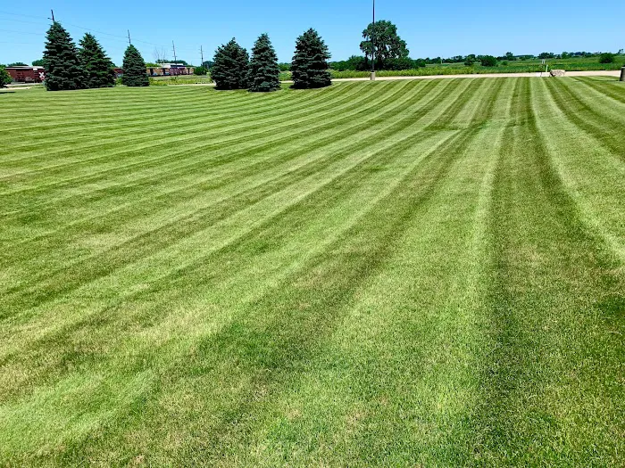 V&C Lawn Care Services Picture 5