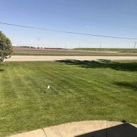 TruGreen Lawn Care ico