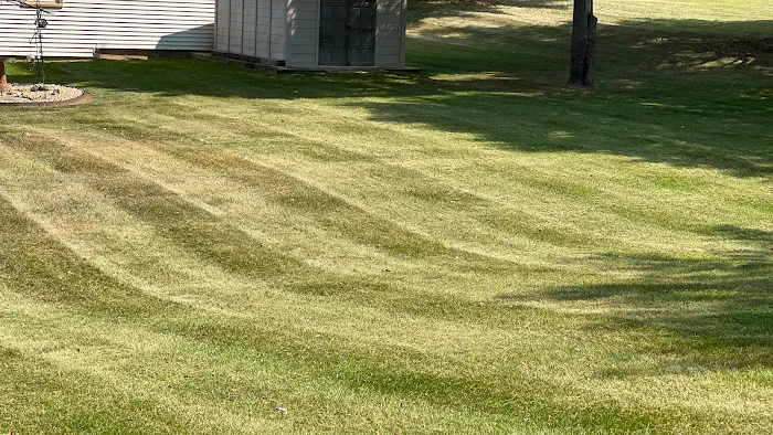 Al's Lawn Maintenance Picture 8