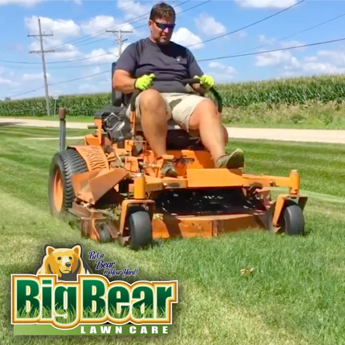 Big Bear Lawn Care Picture 2