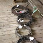 Distinctive Gardens Inc