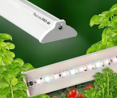 Happy Leaf LED