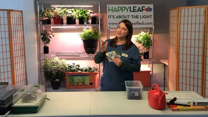 Happy Leaf LED Picture 5