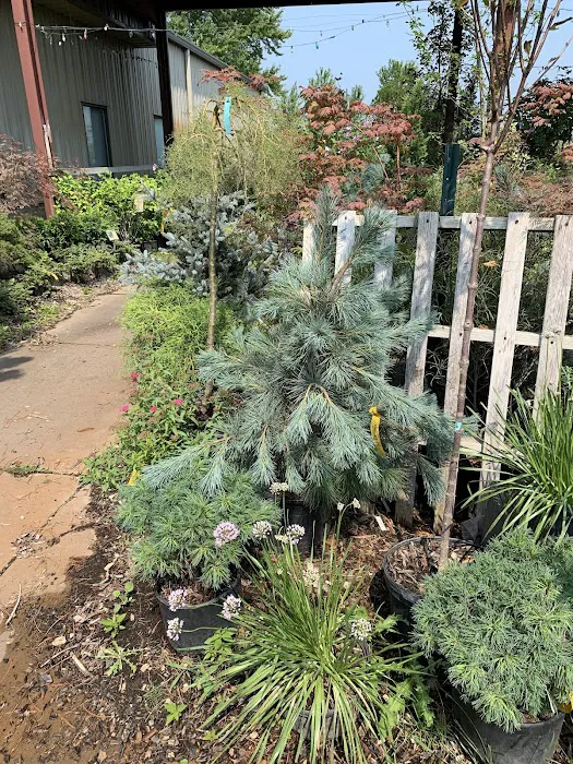 McCormick's Nursery & Garden Center Picture 3